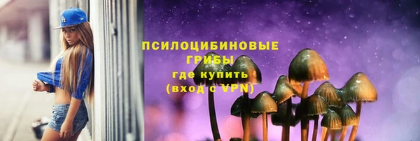 MDMA Горнозаводск