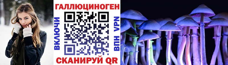 продажа наркотиков  Тбилисская  Псилоцибиновые грибы ЛСД 